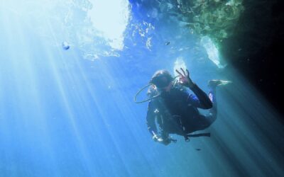 The syndrome of ?shallow waters? in apnea