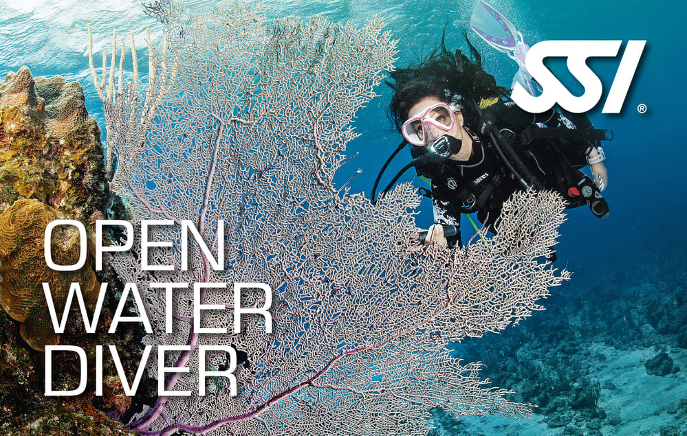 Open Water Diver - Cabo La Nao