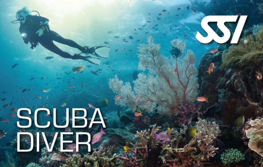 Scuba Divers - Cabo La Nao