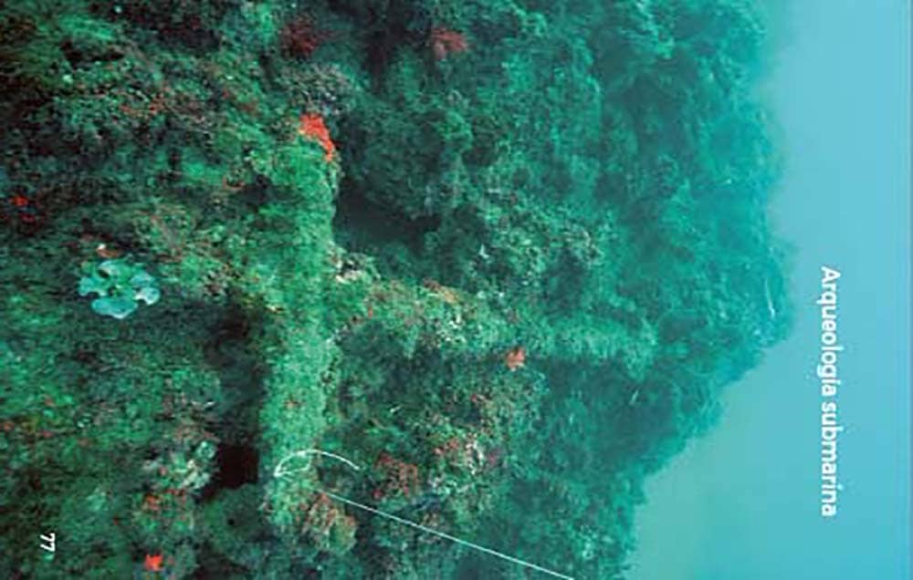 Plongée profonde - Cabo La Nao
